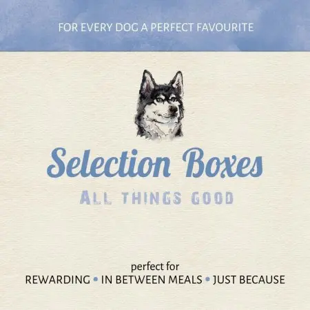 chicken-multipack beloningsbox voor honden.webp