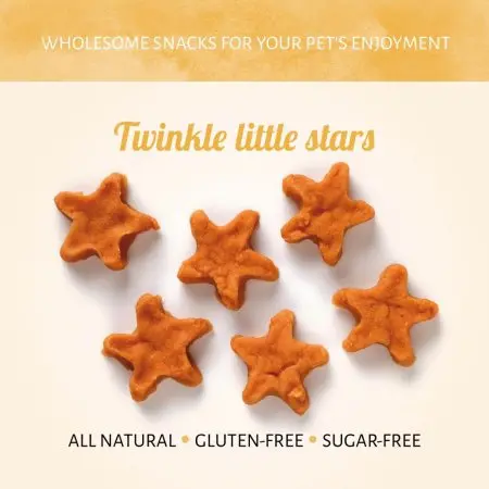 christmas-twinkle koekje.webp