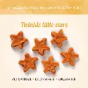 christmas-twinkle koekje.webp
