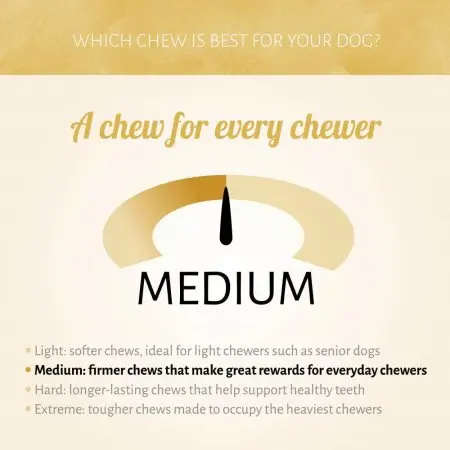 christmas-twinkle hardheid koekje.webp