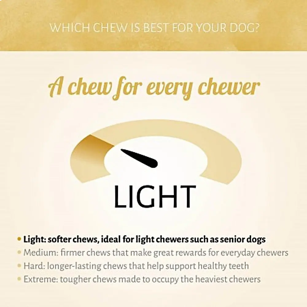 festive-mix-hardheid koekje hond licht foto soft.webp