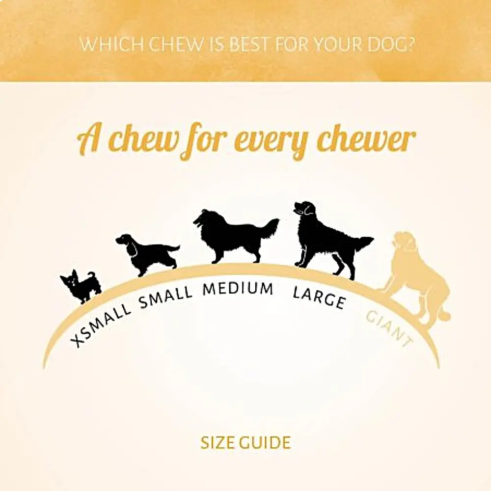 festive-mix-voor alle honden pea foto soft.webp