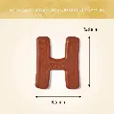 Smulletter H size.webp