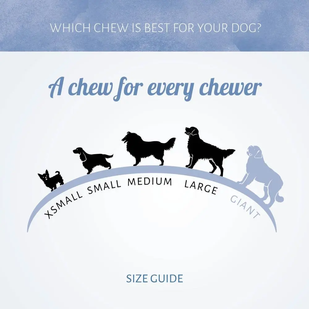 voor alle honden.webp