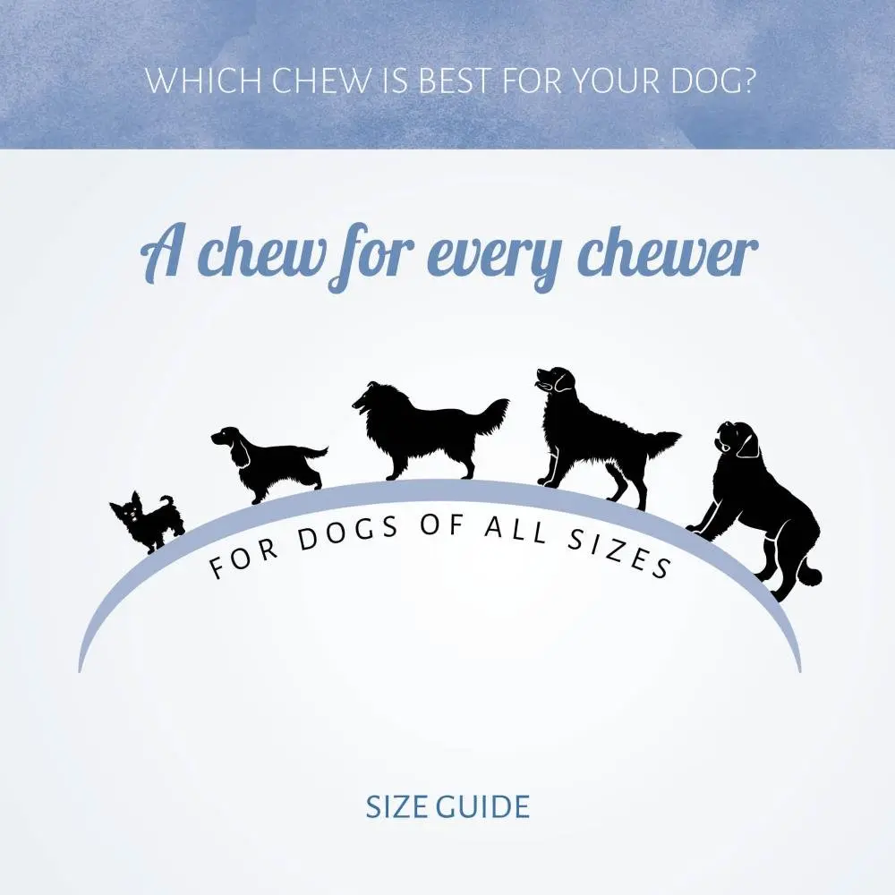 trainingsnoepjes voor alle honden.webp