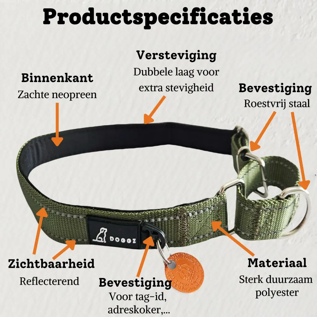 halsband martingaal voor hond productspecificaties.webp