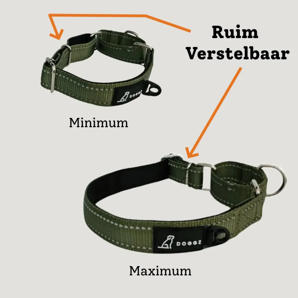 halsband martingaal voor hond ruim en gemakkelijk verstelbaar.webp