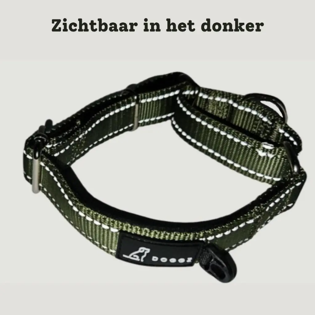 reflecterende martingaal halsband voor hond.webp