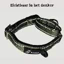 reflecterende martingaal halsband voor hond.webp