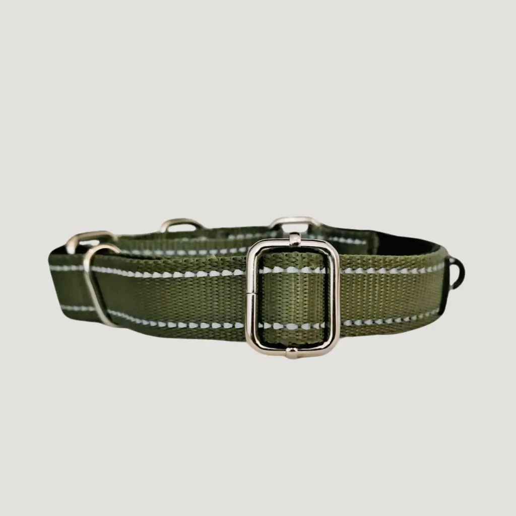 verstelbare martingaal hondenhalsband doggz achterkant.webp