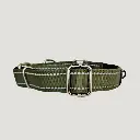 verstelbare martingaal hondenhalsband doggz achterkant.webp