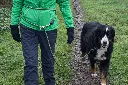 leiband dubbel rond de middel .webp