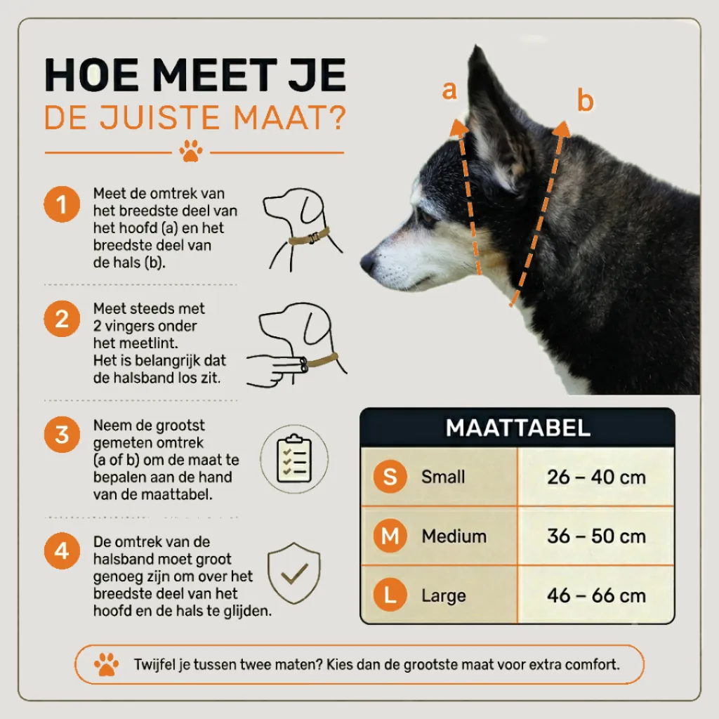 maattabel martingaal halsband.webp