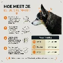 maattabel martingaal halsband.webp