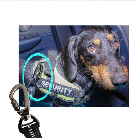 Autogordel voor honden karabijn