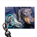 Autogordel voor honden karabijn