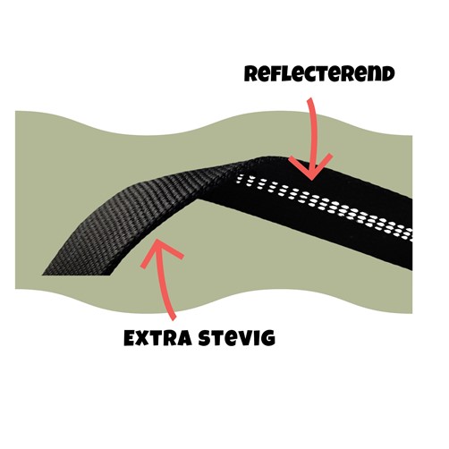 Autogordel voor honden dikte riem