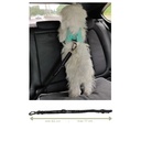 Autogordel voor honden op achterbank