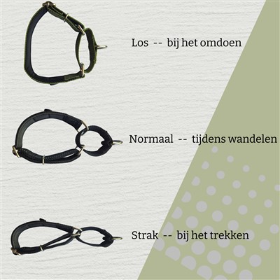 Halsband martingaal voor hond mogelijkheden
