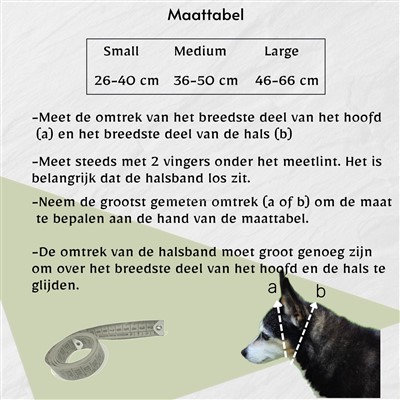 Halsband martingaal doggz voor hond  maattabel