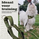 Halsband training