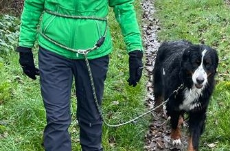 Leiband groen dubbel