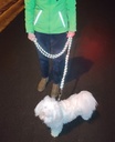 Leiband groen reflecterend