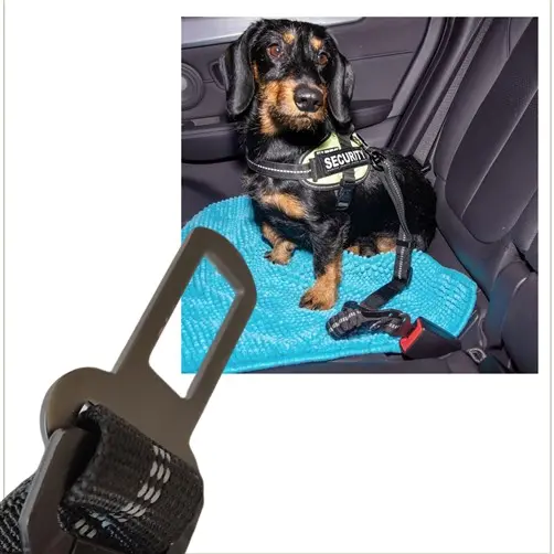 autogordel voor honden klip.webp