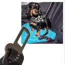 autogordel voor honden klip.webp