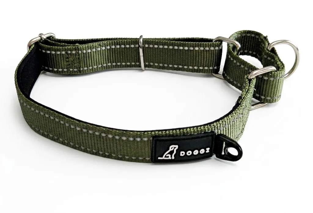 [doghbzs] Halsband (Small, Zwart)
