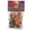 Magic of Christmas 