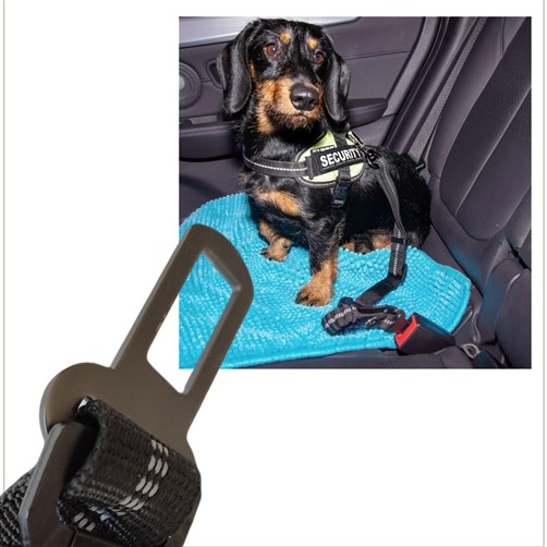 [dogatg] Autogordel 